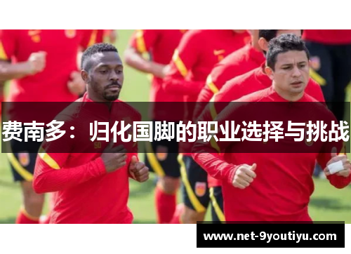 费南多：归化国脚的职业选择与挑战
