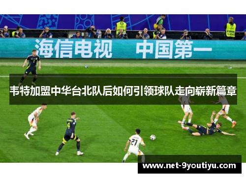 韦特加盟中华台北队后如何引领球队走向崭新篇章