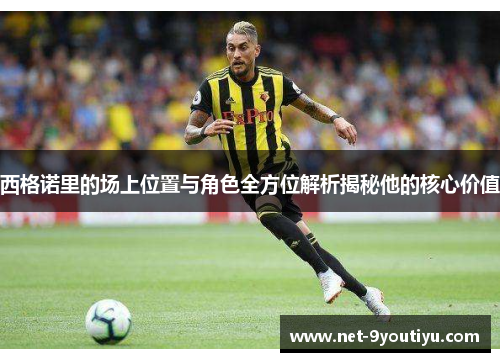 西格诺里的场上位置与角色全方位解析揭秘他的核心价值